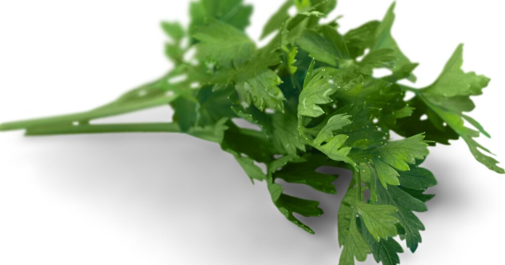 Basil or parsley for garnish