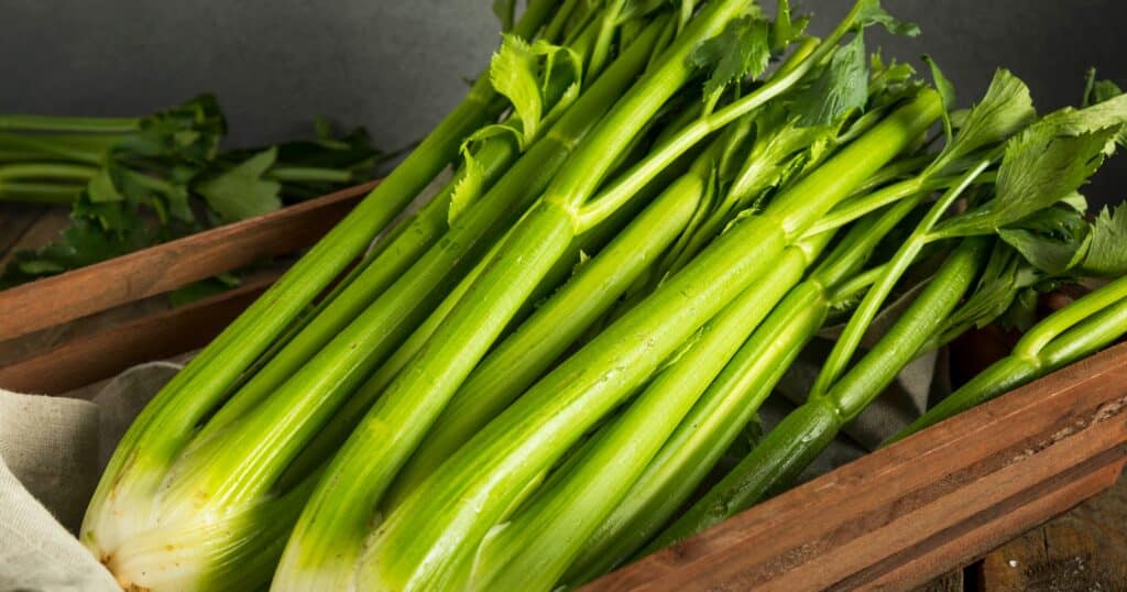 28.35 grams (1 ounce) celery