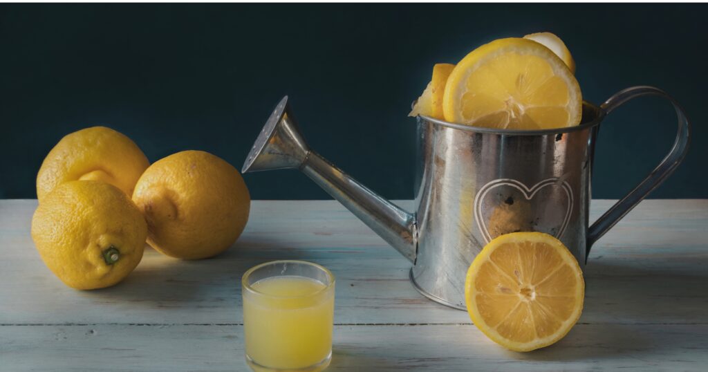 1 teaspoon lemon juice