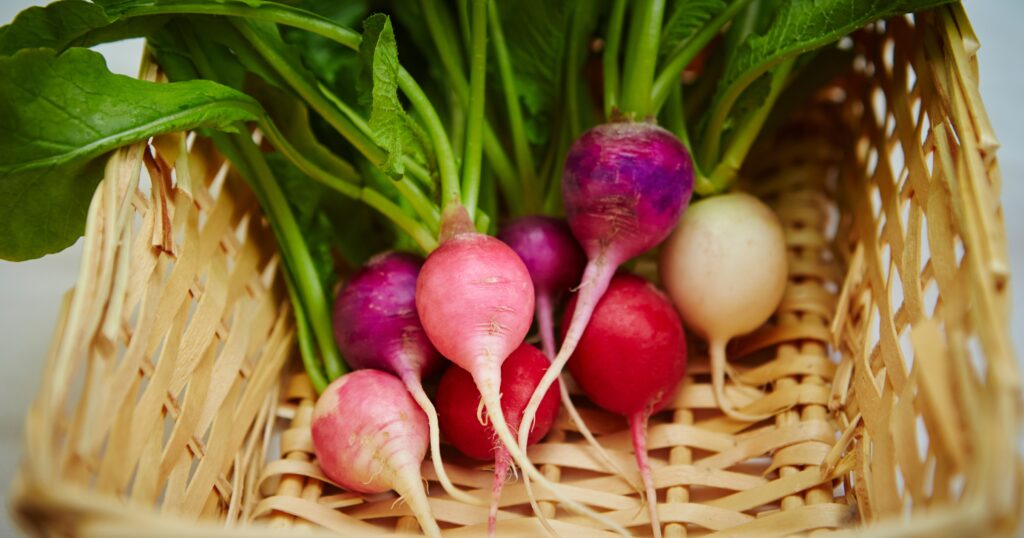 2 turnips, thinly sliced (use a mandoline for even slices)